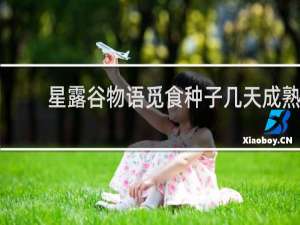 星露谷物语觅食种子几天成熟