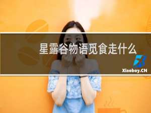 星露谷物语觅食走什么