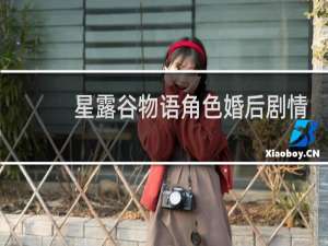 星露谷物语角色婚后剧情
