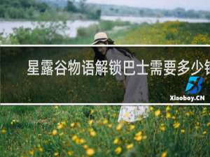 星露谷物语解锁巴士需要多少钱