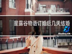 星露谷物语订婚后几天结婚