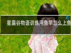 星露谷物语训练用鱼竿怎么上鱼饵