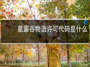 星露谷物语许可代码是什么