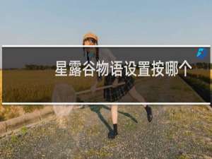 星露谷物语设置按哪个