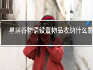 星露谷物语设置物品收纳什么意思