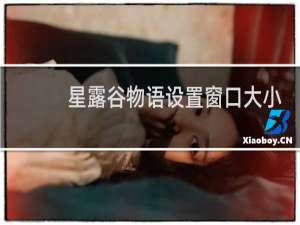 星露谷物语设置窗口大小
