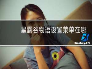 星露谷物语设置菜单在哪