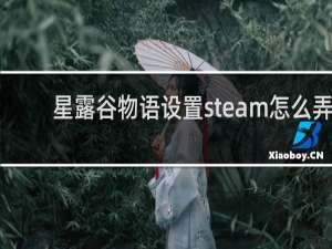 星露谷物语设置steam怎么弄
