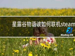 星露谷物语该如何联机steam