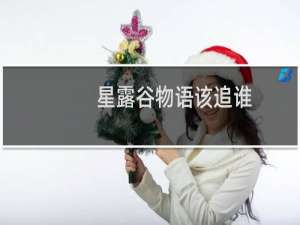 星露谷物语该追谁