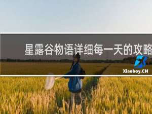 星露谷物语详细每一天的攻略