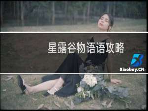 星露谷物语语攻略