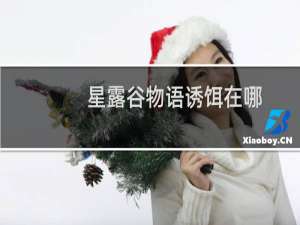 星露谷物语诱饵在哪