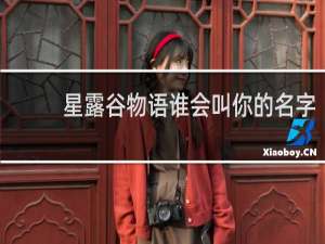 星露谷物语谁会叫你的名字