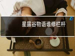 星露谷物语谁修栏杆