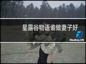 星露谷物语谁做妻子好