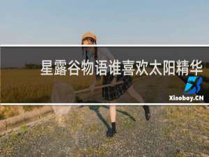 星露谷物语谁喜欢太阳精华
