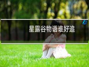 星露谷物语谁好追