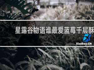 星露谷物语谁最爱蓝莓千层酥