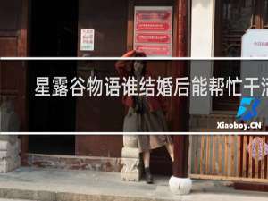 星露谷物语谁结婚后能帮忙干活