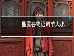 星露谷物语调节大小