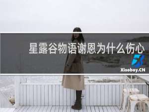 星露谷物语谢恩为什么伤心