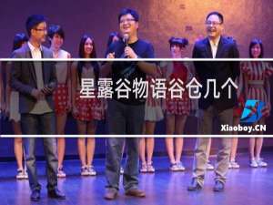 星露谷物语谷仓几个
