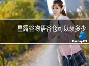 星露谷物语谷仓可以装多少