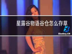 星露谷物语谷仓怎么存草