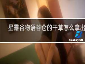 星露谷物语谷仓的干草怎么拿出来