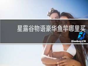 星露谷物语豪华鱼竿哪里买