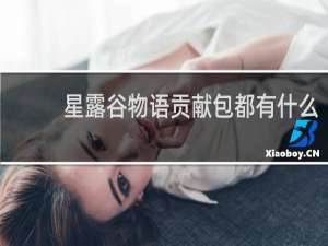 星露谷物语贡献包都有什么