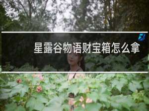 星露谷物语财宝箱怎么拿