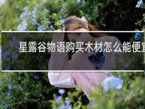 星露谷物语购买木材怎么能便宜