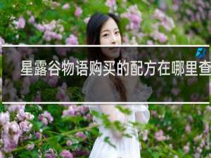 星露谷物语购买的配方在哪里查看
