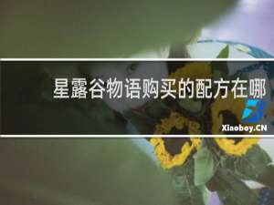 星露谷物语购买的配方在哪