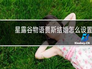 星露谷物语贾斯结婚怎么设置
