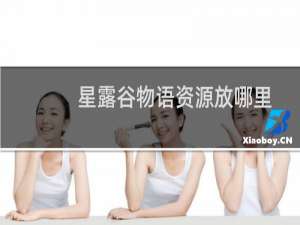 星露谷物语资源放哪里