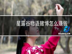 星露谷物语赌博怎么赚钱