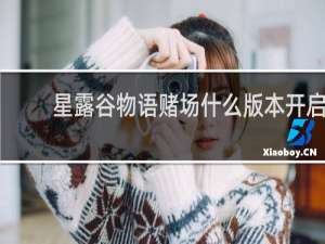 星露谷物语赌场什么版本开启