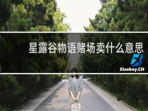星露谷物语赌场卖什么意思