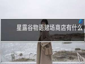 星露谷物语赌场商店有什么