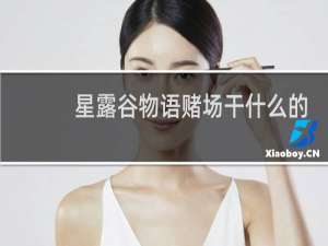 星露谷物语赌场干什么的