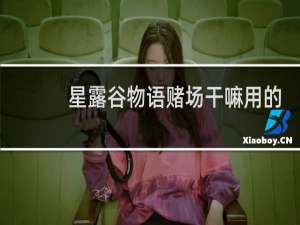 星露谷物语赌场干嘛用的