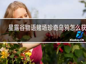 星露谷物语赌场珍奇乌鸦怎么获得
