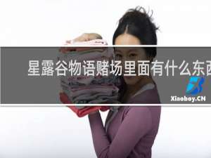 星露谷物语赌场里面有什么东西