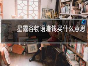 星露谷物语赚钱买什么意思