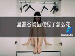 星露谷物语赚钱了怎么花