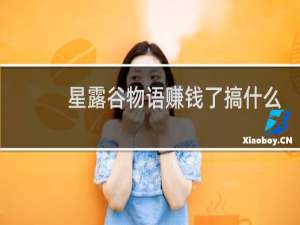 星露谷物语赚钱了搞什么