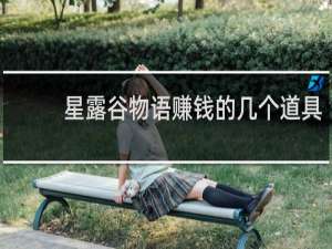 星露谷物语赚钱的几个道具